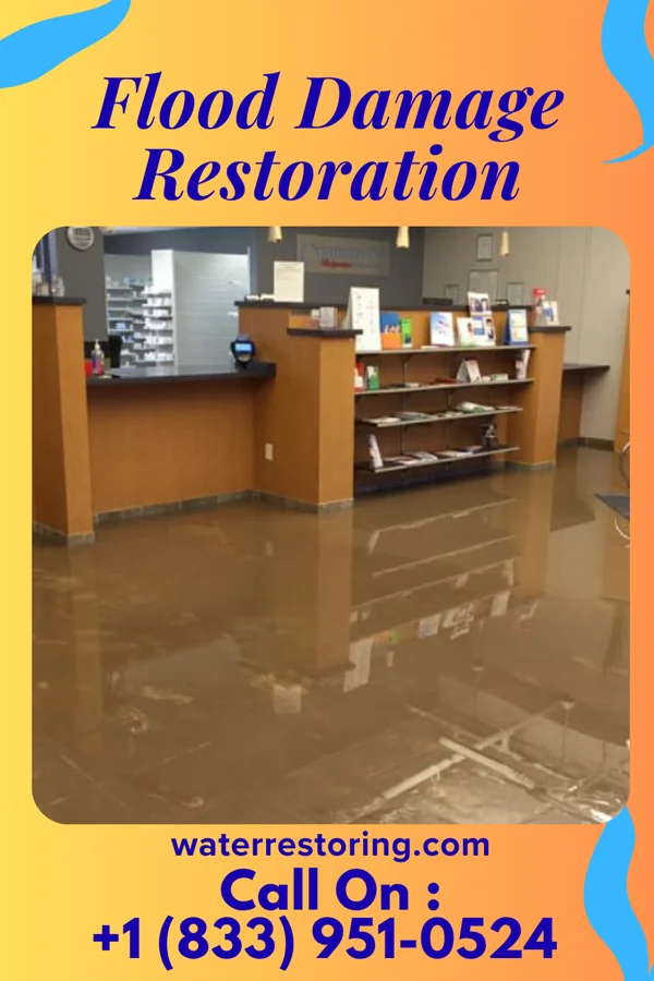 Flood Damage Restoration in Sauk City, WI