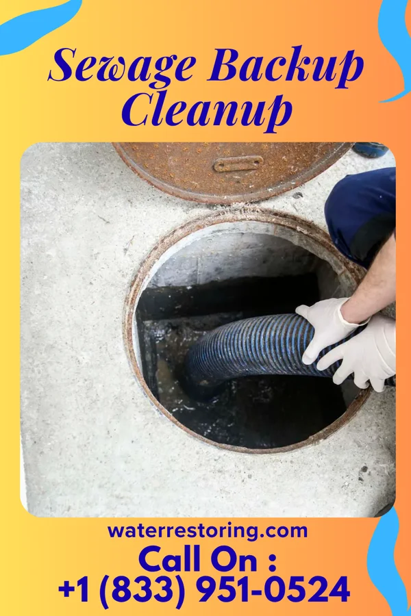 Sewage Backup Cleanup in Sauk City, WI
