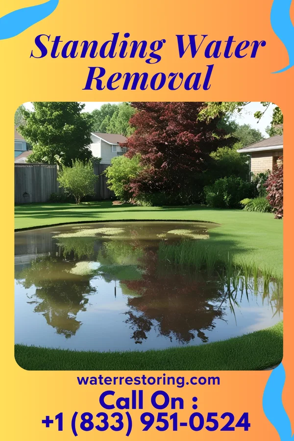Standing Water Removal in Sauk City, WI